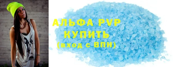 прущие грибы Богородицк