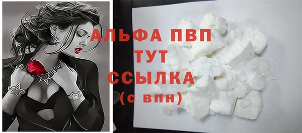 прущие грибы Богородицк