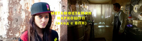 прущие грибы Богородицк