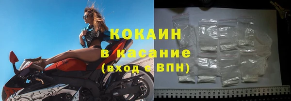 прущие грибы Богородицк
