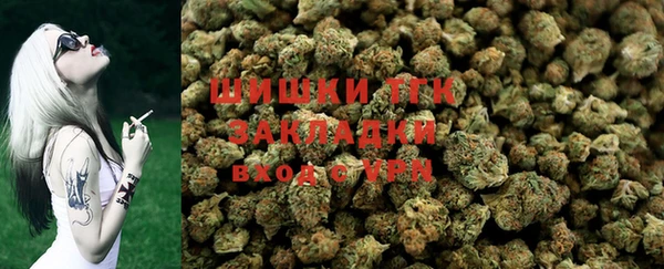 spice Богданович