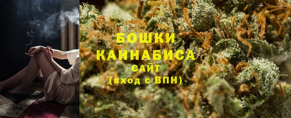 прущие грибы Богородицк