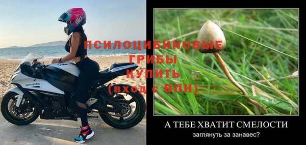 spice Богданович