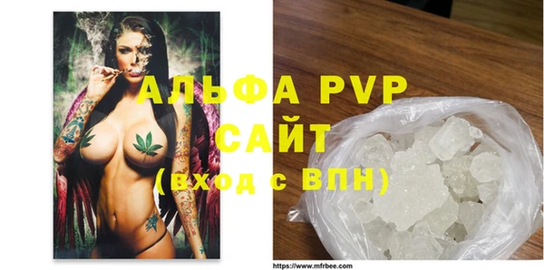 прущие грибы Богородицк