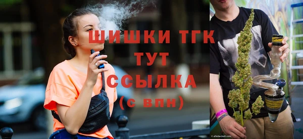 spice Богданович