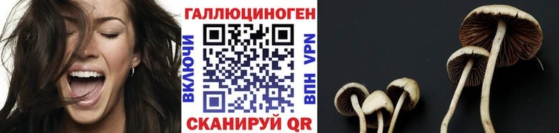 Галлюциногенные грибы мухоморы  Купить закладки  Рузаевка 